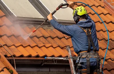 Démoussage et hydrofuge de toiture à Savennières